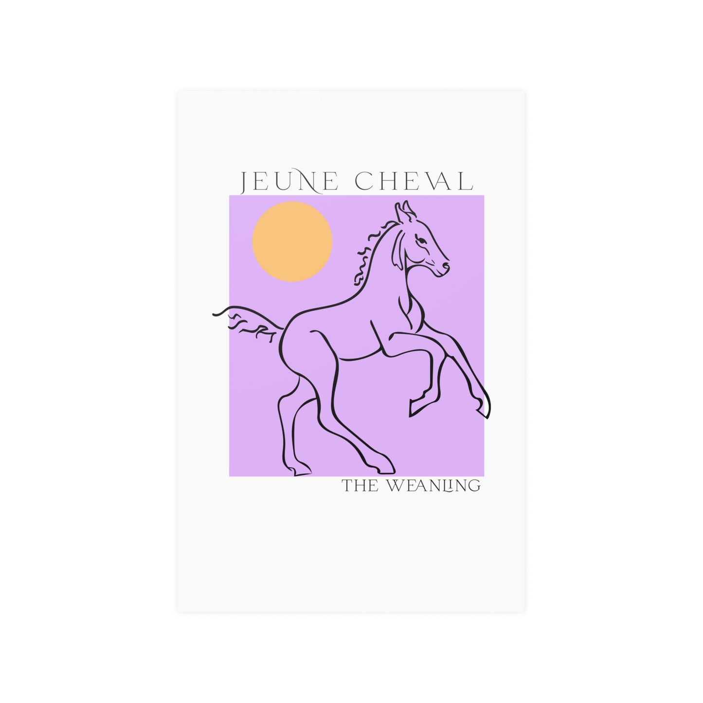 Satin Posters (210gsm)